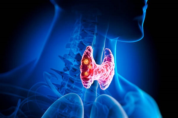 Cardiology